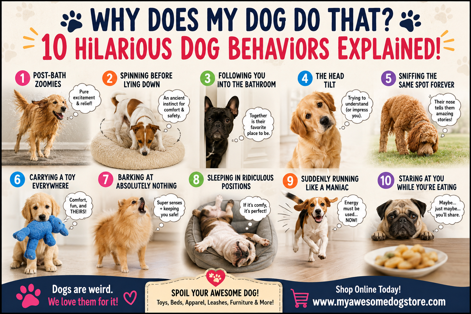 Why Does My Dog Do That?