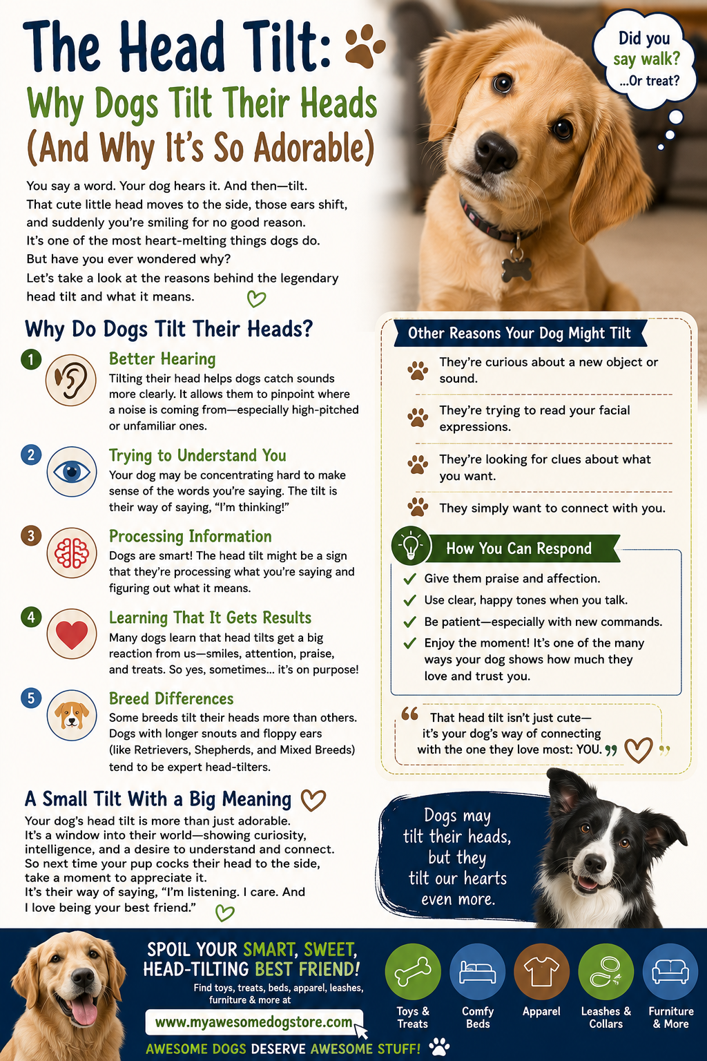 The Secret Life of a Sleeping Dog