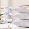 white queen size extra firm-pillow 2000