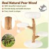 Pear Wood Cat Tree with Perch Natural Jute Scratching Posts Pet Furniture for Cats