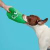 Green Pickle Dog Toy with Squeaker & Crinkle Sound, Interactive Play for All Ages