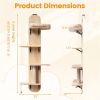 Door Hanging Cat Tree 5-Level Height Adjustable 4-Tier Climber No-Drill for Apartment Beige