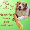 My Name is B, Cute Stuffed Parody Blunt Dog Toy, Funny Squeaky Weed Toy, Cool Plush Novelty 420 Gift for Pets & Their Owners