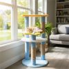 29" Moon & Star Cat Tree with 4 Levels, Jute Scratching Posts & Anti-Tipping Device for Kittens & Adults-Blue
