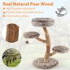 4-Level Natural Pear Wood Cat Tree - 19.5"x35.5", Jute Scratch Posts + Plush Ball, Long Plush