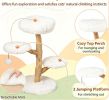 Pear Wood Cat Tree with Perch Natural Jute Scratching Posts Pet Furniture for Cats