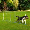 Dog Outdoor Exercise Training Set ( Amazon Shipping)(Prohibited by WalMart)