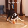 Cheerble Interactive Dog Toy, Wicked Ball Rolly, Automatic Move, E-TPU Material, Rope and Barking Sounds, for Medium to Large Dogs