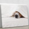 Jack russell dog sleeping under the blanket Canvas Print or Poster