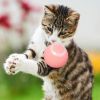 Pet Toy  Automatic Rotating Ball Cat Teasing Ball